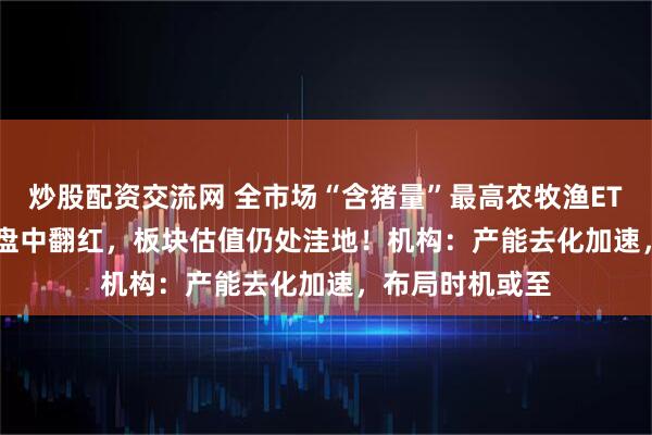 炒股配资交流网 全市场“含猪量”最高农牧渔ETF（159275）盘中翻红，板块估值仍处洼地！机构：产能去化加速，布局时机或至